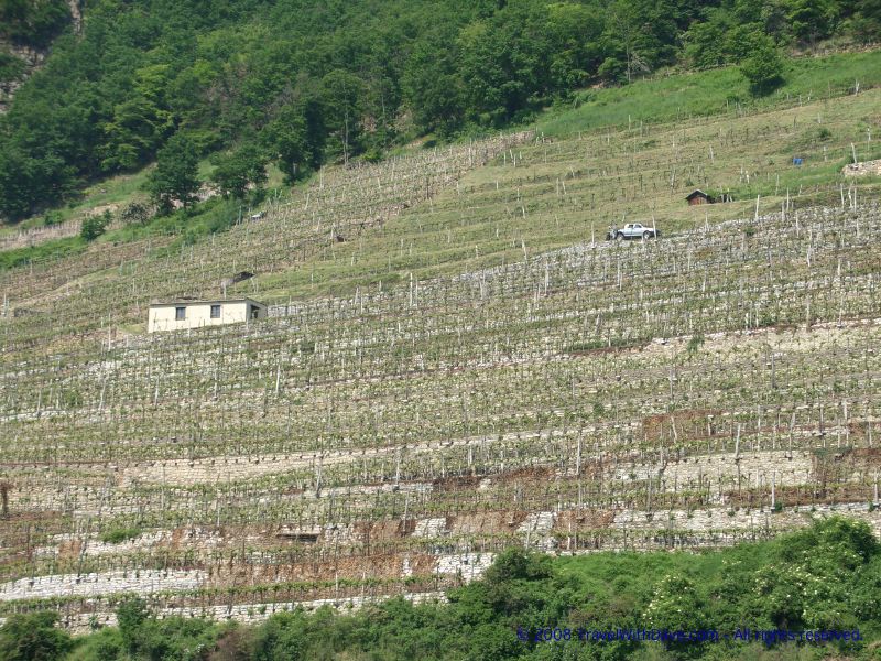Donau (Danube) River / Wachau Valley - 08