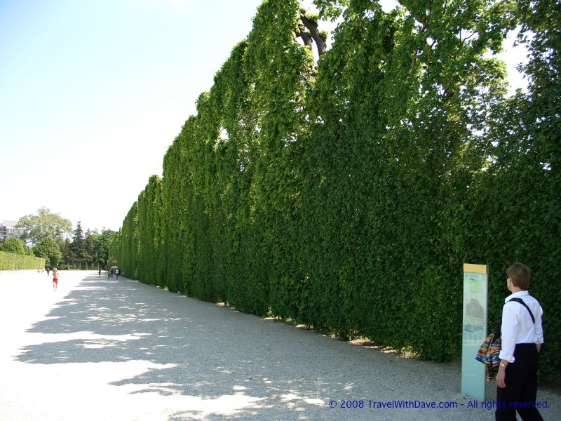 Schönbrunn Palace - 26