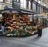 Vienna - 23