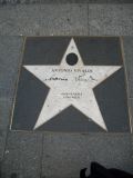 Vienna - 24