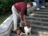 Wiener Stadtpark (Viennese City Park) - 6