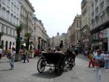 Vienna - 25