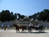 Schönbrunn Palace - 07