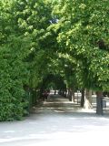 Schönbrunn Palace - 20
