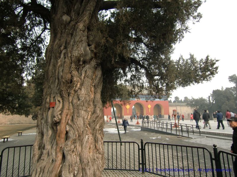 Temple of Heaven - 09