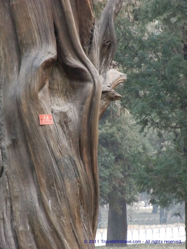 Temple of Heaven - 11