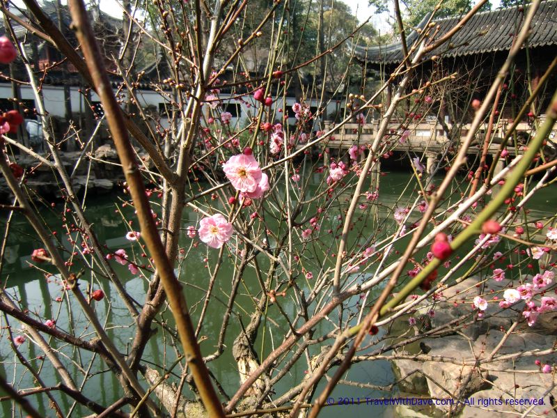 Yu Gardens - 05
