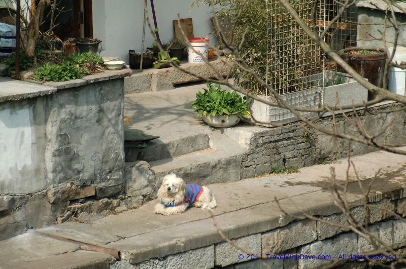 Tongli - 01