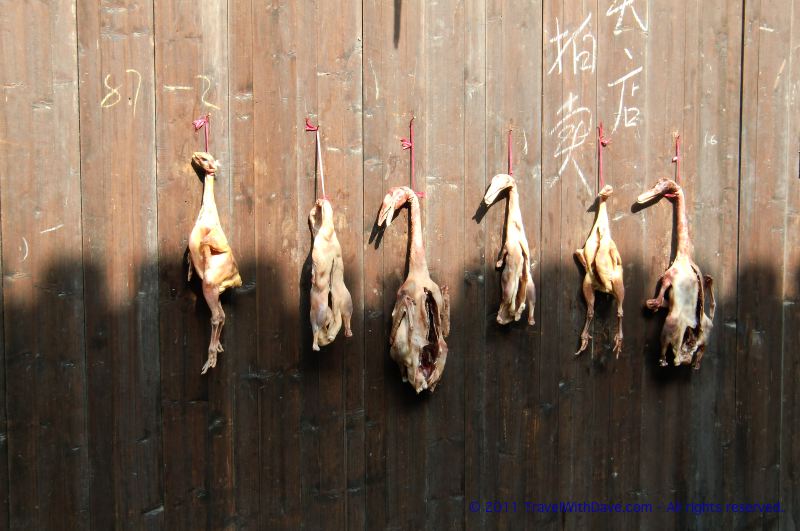 Tongli - 06