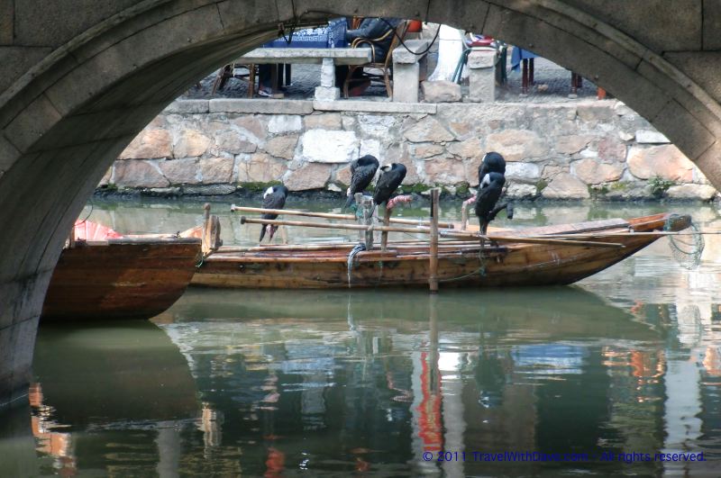 Tongli - 10
