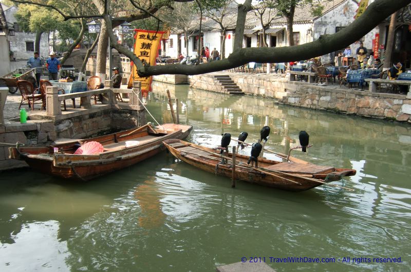 Tongli - 12
