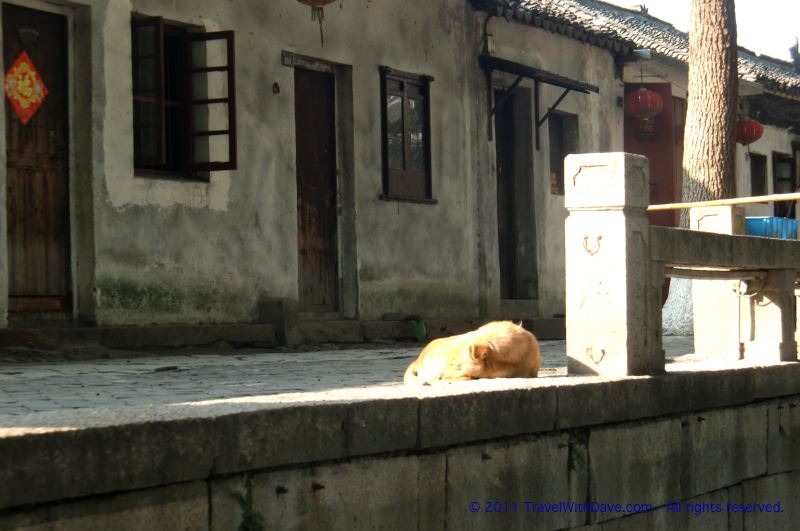 Tongli - 17