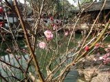 Yu Gardens - 05