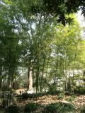 Yu Gardens - 07