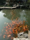 Yu Gardens - 17