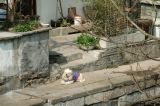 Tongli - 01