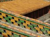 Forbidden City - 29