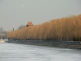 Forbidden City - 36