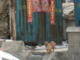 Beijing - 14
